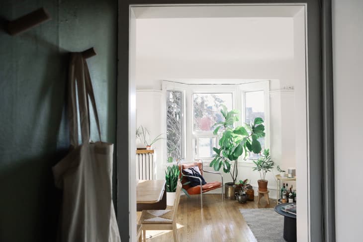 380-Square-Foot Studio Apartment Tour Photos | Apartment Therapy